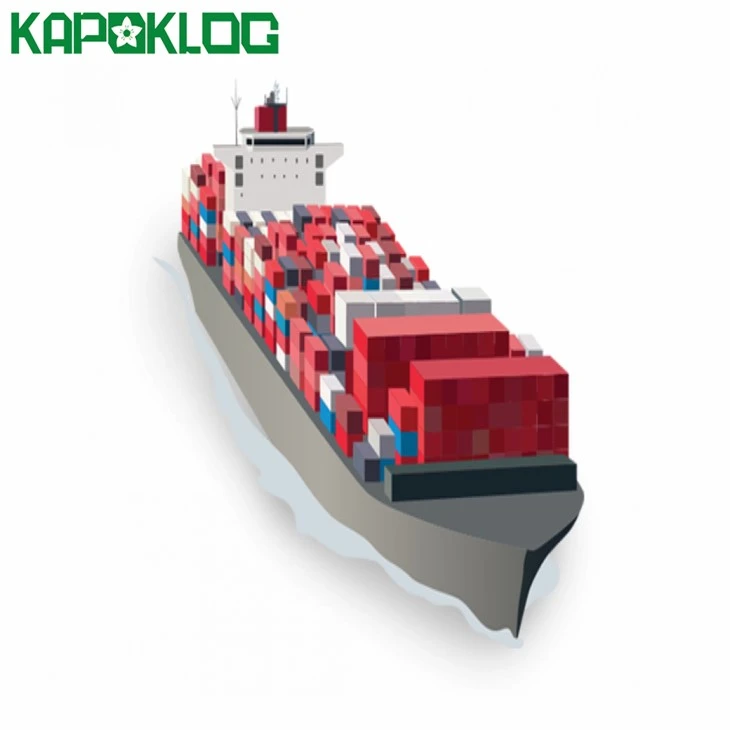 Transport maritim DDP către Malaezia/Chile Saudit