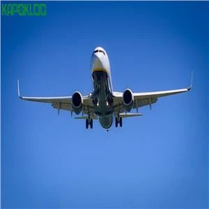 Agent logistic de marfă maritimă ușă în ușă